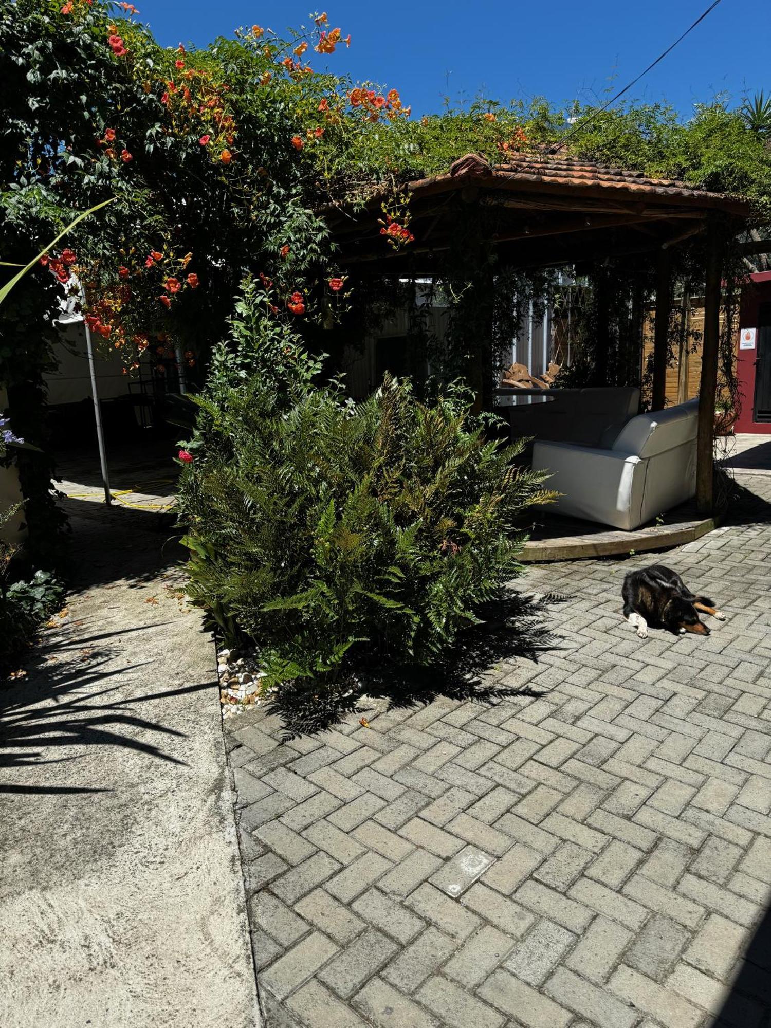 Pousada Upserra Урубиси Экстерьер фото